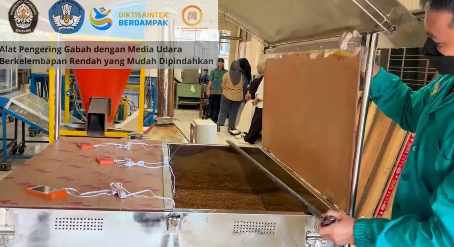 Teknologi Pengering Gabah Hybrid Karya Peneliti UNDIP Jamin Kualitas Panen di segala Cuaca
